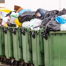 AdobeStock_206483841
